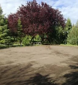 Salvus Family Pihenő Park