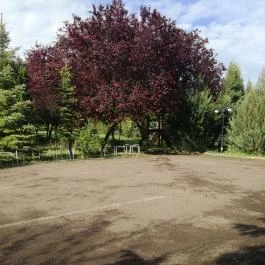 Salvus Family Pihenő Park Bükkszék - Egyéb