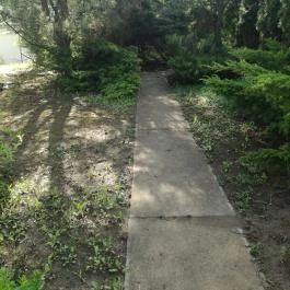 Salvus Family Pihenő Park Bükkszék - Egyéb