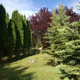 Salvus Family Pihenő Park Bükkszék - Egyéb