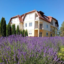 Oxigén Apartman1 Bükkszentkereszt Bükkszentkereszt - Külső kép