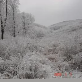 Fekete Kos Fogadó Bükkzsérc - Környék