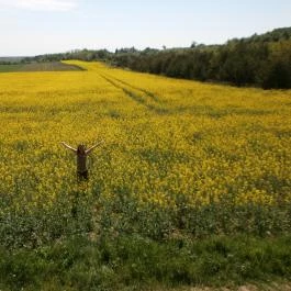 Hegyalja Apartman Cák - Egyéb