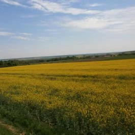 Hegyalja Apartman Cák - Egyéb