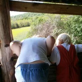 Hegyalja Apartman Cák - Egyéb