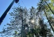 Ceglédfürdő Kalandpark Cegléd