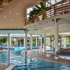 Ceglédi Apartmanpark & Kemping Cegléd - Medence/kert