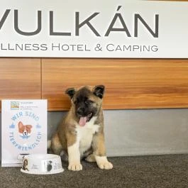 Vulkán Wellness Hotel és Kemping Celldömölk - Belső