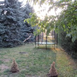 Fenyves Vendégház Csemő - Medence/kert