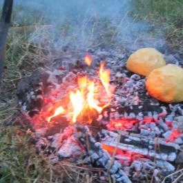 Fenyves Vendégház Csemő - Egyéb