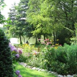 Fenyves Vendégház Csemő - Medence/kert