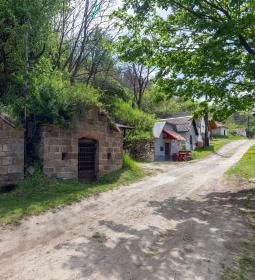 Berezdaljai pincesor