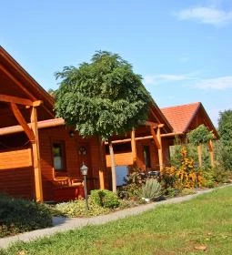 Dream Horse Apartman