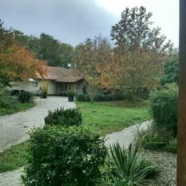 Dream Horse Apartman Cserkeszőlő - Medence/kert