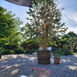 Dream Horse Apartman Cserkeszőlő - Medence/kert