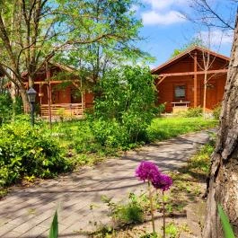 Dream Horse Apartman Cserkeszőlő - Külső kép