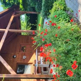 Dream Horse Apartman Cserkeszőlő - Medence/kert