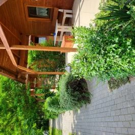 Dream Horse Apartman Cserkeszőlő - Medence/kert