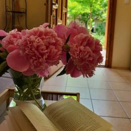 Dream Horse Apartman Cserkeszőlő - Szobák