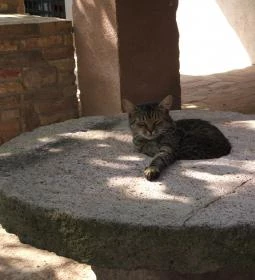 Apartman Vörösdombi Vendégház