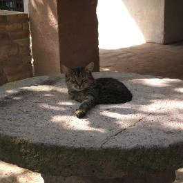 Apartman Vörösdombi Vendégház Cserkút - Környék