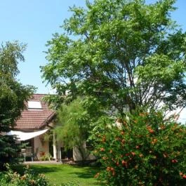 Borbolya Apartmanok Cserkút - Egyéb