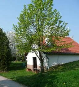 Vackor Vendégházak