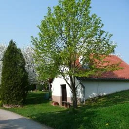 Vackor Vendégházak Cserkút - Egyéb