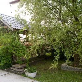 Zöld Vendégház Csernely - Medence/kert