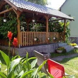 Zöld Vendégház Csernely - Medence/kert