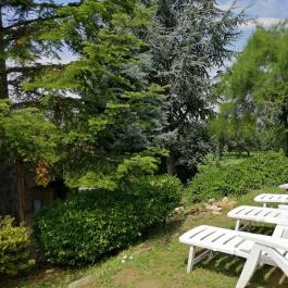 Casa Ninfea Panzió Cserszegtomaj - Egyéb