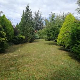 Casa Ninfea Panzió Cserszegtomaj - Egyéb