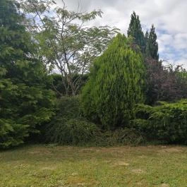 Casa Ninfea Panzió Cserszegtomaj - Egyéb