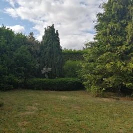 Casa Ninfea Panzió Cserszegtomaj - Egyéb