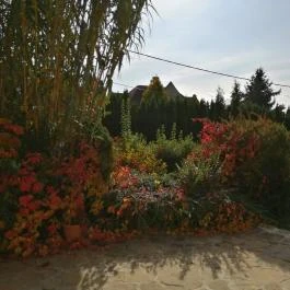 Casa Ninfea Panzió Cserszegtomaj - Egyéb