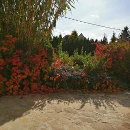 Casa Ninfea Panzió Cserszegtomaj - Egyéb