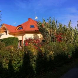 Casa Ninfea Panzió Cserszegtomaj - Egyéb