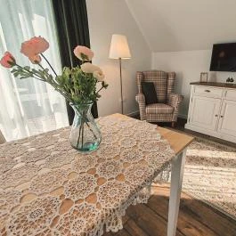 Elisoria Superiors Cserszegtomaj - Egyéb