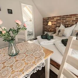 Elisoria Superiors Cserszegtomaj - Egyéb