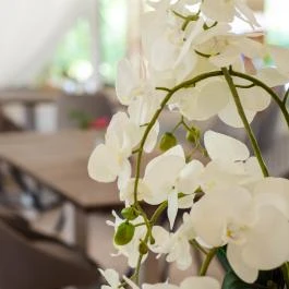 Sportpanzió Wagner Cserszegtomaj - Vendéglátás