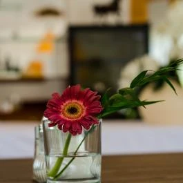 Sportpanzió Wagner Cserszegtomaj - Vendéglátás