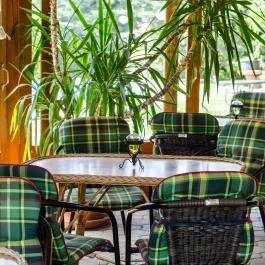 Sportpanzió Wagner Cserszegtomaj - Medence/kert