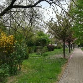 Sportpanzió Wagner Cserszegtomaj - Medence/kert