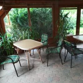 Sportpanzió Wagner Cserszegtomaj - Medence/kert