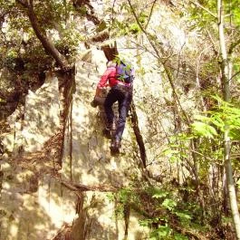 Cseszneki via ferrata utak Csesznek - Egyéb