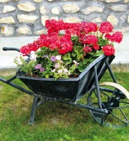 Erzsébet Vendégház 