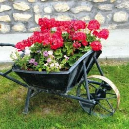 Erzsébet Vendégház Csesznek - Egyéb