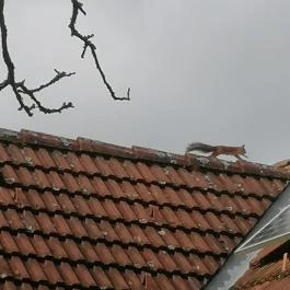 Kerka Vendégház Csesztreg - Egyéb