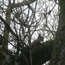 Kerka Vendégház Csesztreg - Egyéb