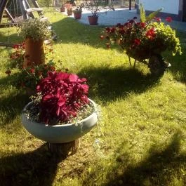 Kerka Vendégház Csesztreg - Egyéb